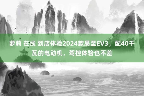 萝莉 在线 到店体验2024款易至EV3，配40千瓦的电动机，驾控体验也不差