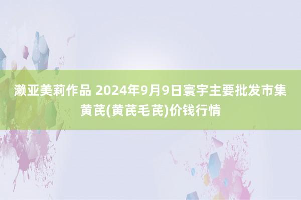 濑亚美莉作品 2024年9月9日寰宇主要批发市集黄芪(黄芪毛芪)价钱行情