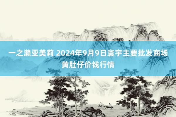 一之濑亚美莉 2024年9月9日寰宇主要批发商场黄肚仔价钱行情