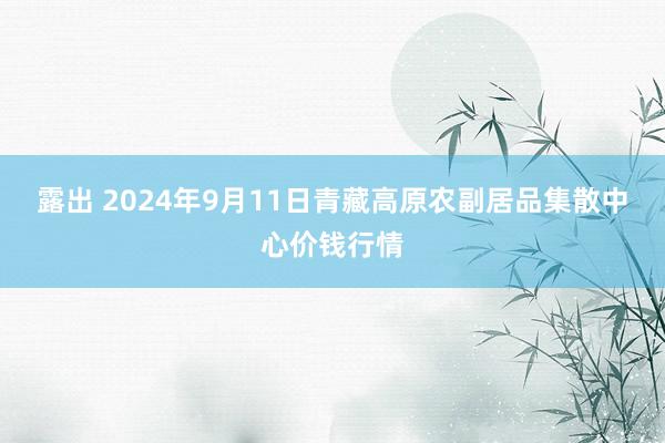 露出 2024年9月11日青藏高原农副居品集散中心价钱行情