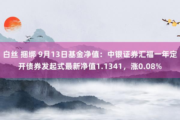 白丝 捆绑 9月13日基金净值：中银证券汇福一年定开债券发起式最新净值1.1341，涨0.08%