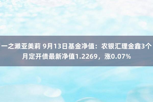 一之濑亚美莉 9月13日基金净值：农银汇理金鑫3个月定开债最新净值1.2269，涨0.07%