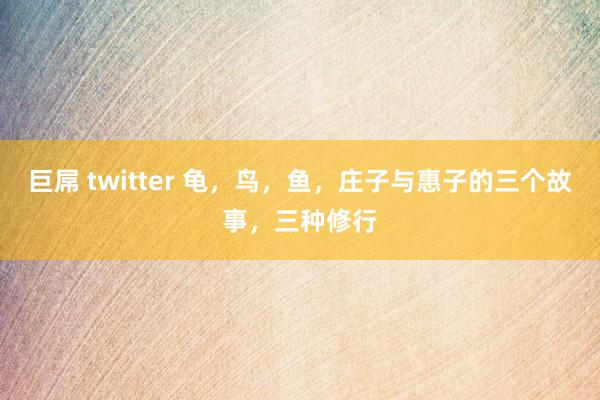 巨屌 twitter 龟，鸟，鱼，庄子与惠子的三个故事，三种修行