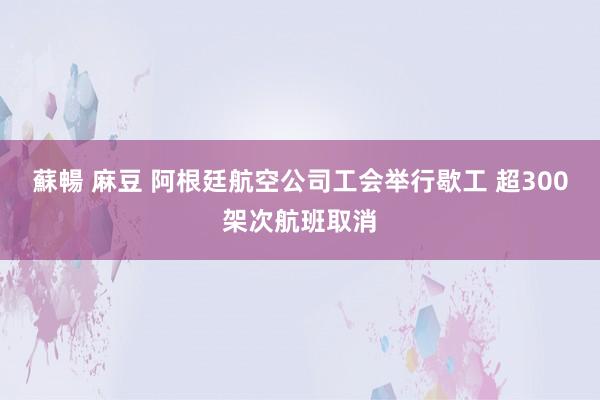 蘇暢 麻豆 阿根廷航空公司工会举行歇工 超300架次航班取消