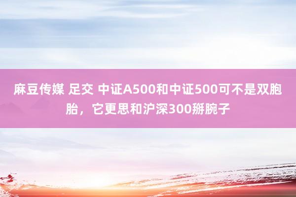 麻豆传媒 足交 中证A500和中证500可不是双胞胎，它更思和沪深300掰腕子