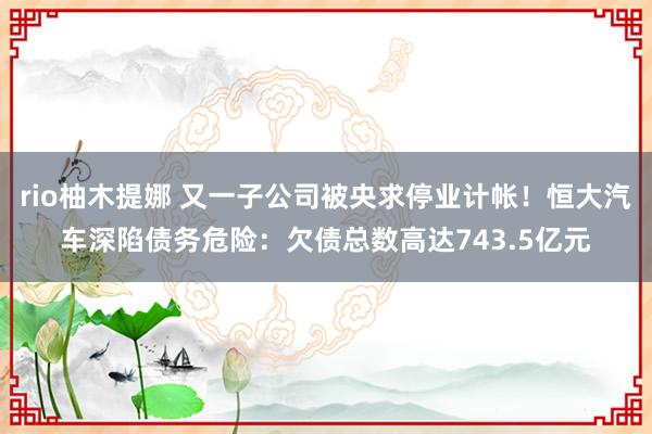 rio柚木提娜 又一子公司被央求停业计帐！恒大汽车深陷债务危险：欠债总数高达743.5亿元