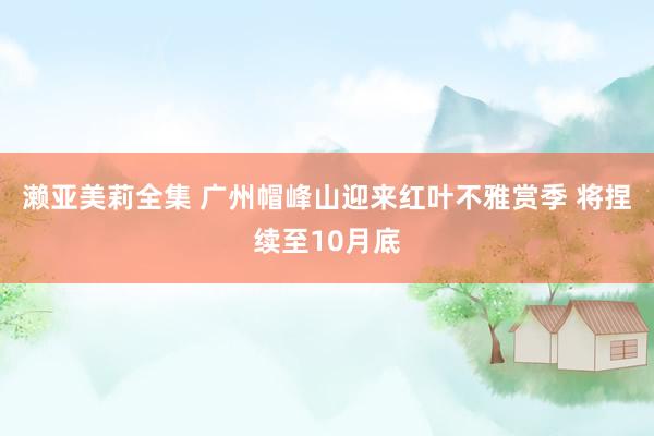 濑亚美莉全集 广州帽峰山迎来红叶不雅赏季 将捏续至10月底