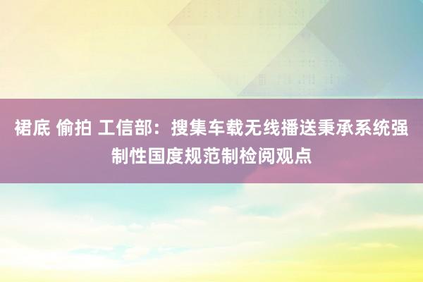 裙底 偷拍 工信部：搜集车载无线播送秉承系统强制性国度规范制检阅观点