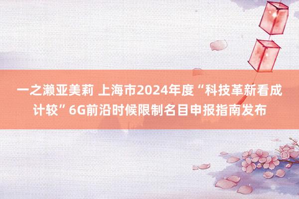 一之濑亚美莉 上海市2024年度“科技革新看成计较”6G前沿时候限制名目申报指南发布