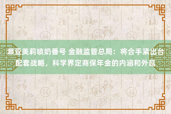 濑亚美莉喷奶番号 金融监管总局：将合手紧出台配套战略，科学界定商保年金的内涵和外延