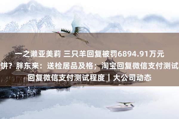 一之濑亚美莉 三只羊回复被罚6894.91万元；顾主买到发霉月饼？胖东来：送检居品及格；淘宝回复微信支付测试程度｜大公司动态