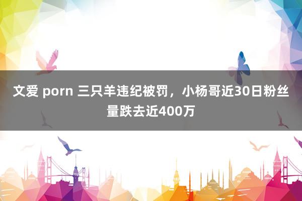 文爱 porn 三只羊违纪被罚，小杨哥近30日粉丝量跌去近400万