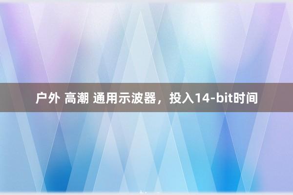 户外 高潮 通用示波器，投入14-bit时间