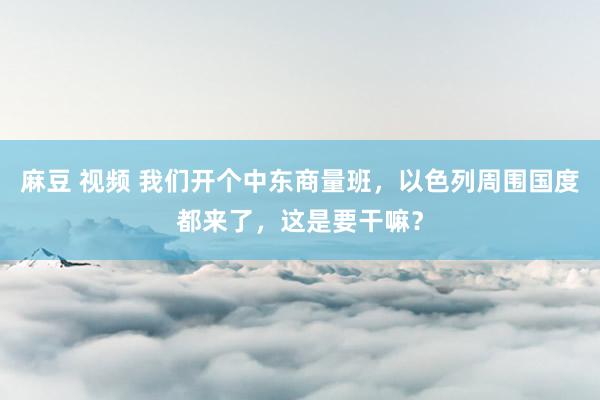 麻豆 视频 我们开个中东商量班，以色列周围国度都来了，这是要干嘛？