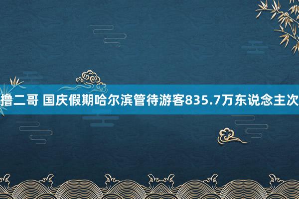 撸二哥 国庆假期哈尔滨管待游客835.7万东说念主次