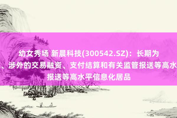 幼女秀场 新晨科技(300542.SZ)：长期为客户提供跨境、涉外的交易融资、支付结算和有关监管报送等高水平信息化居品