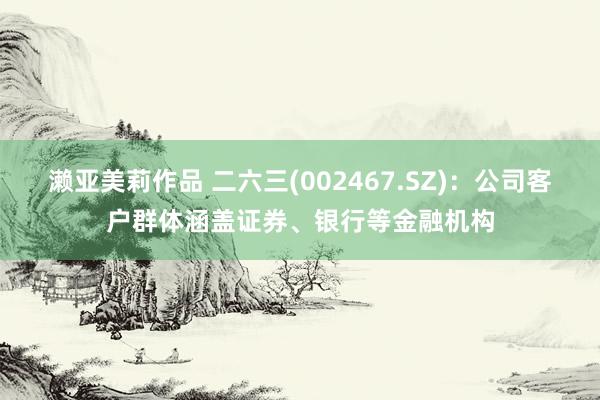 濑亚美莉作品 二六三(002467.SZ)：公司客户群体涵盖证券、银行等金融机构