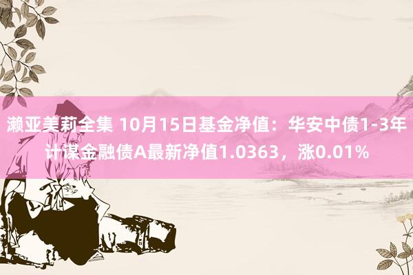 濑亚美莉全集 10月15日基金净值：华安中债1-3年计谋金融债A最新净值1.0363，涨0.01%