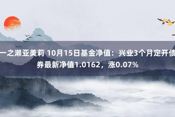 一之濑亚美莉 10月15日基金净值：兴业3个月定开债券最新净值1.0162，涨0.07%