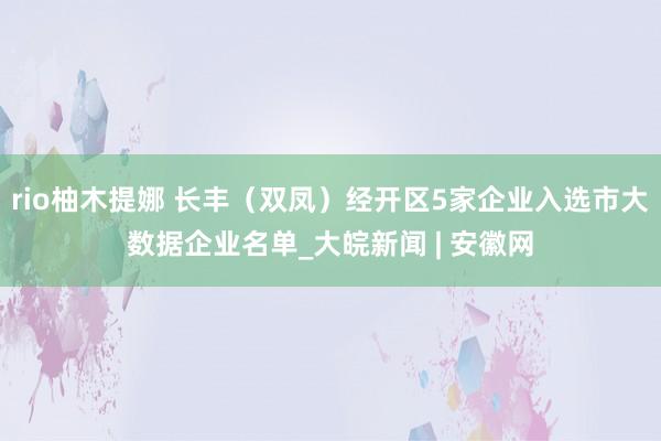 rio柚木提娜 长丰（双凤）经开区5家企业入选市大数据企业名单_大皖新闻 | 安徽网