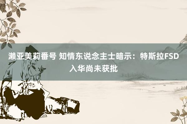 濑亚美莉番号 知情东说念主士暗示：特斯拉FSD入华尚未获批