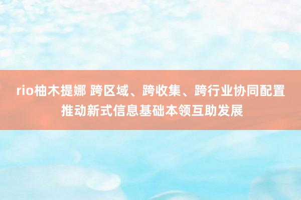 rio柚木提娜 跨区域、跨收集、跨行业协同配置 推动新式信息基础本领互助发展