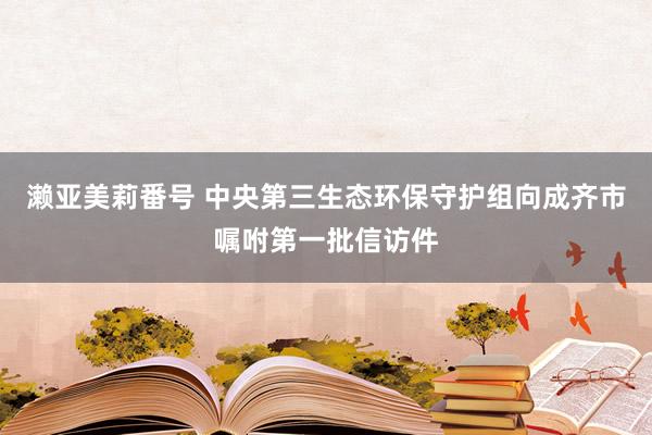 濑亚美莉番号 中央第三生态环保守护组向成齐市嘱咐第一批信访件