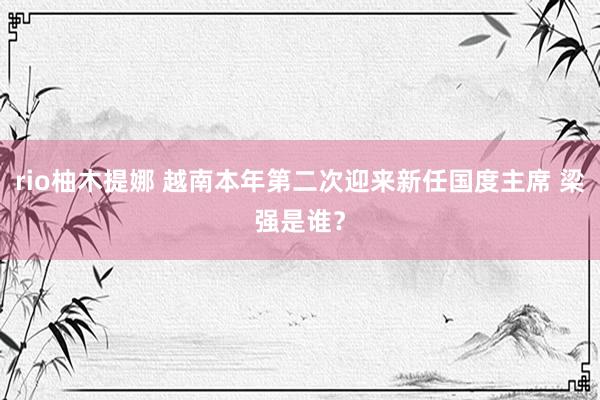 rio柚木提娜 越南本年第二次迎来新任国度主席 梁强是谁？