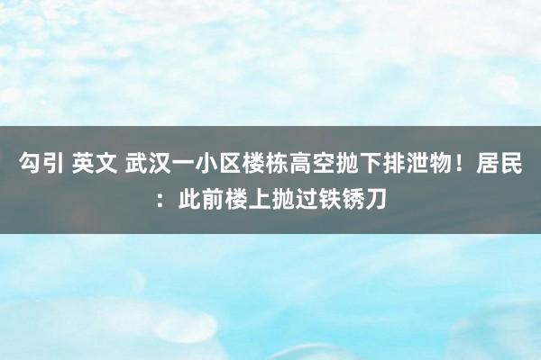 勾引 英文 武汉一小区楼栋高空抛下排泄物！居民：此前楼上抛过铁锈刀