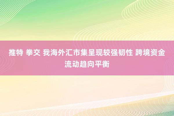 推特 拳交 我海外汇市集呈现较强韧性 跨境资金流动趋向平衡