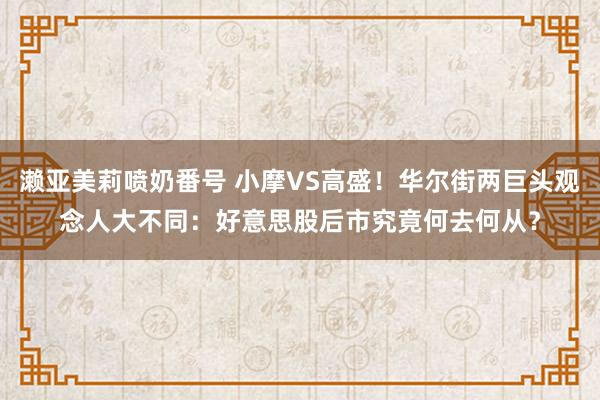 濑亚美莉喷奶番号 小摩VS高盛！华尔街两巨头观念人大不同：好意思股后市究竟何去何从？