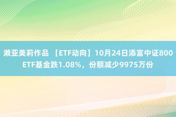 濑亚美莉作品 【ETF动向】10月24日添富中证800ETF基金跌1.08%，份额减少9975万份