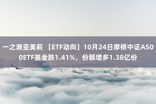 一之濑亚美莉 【ETF动向】10月24日摩根中证A500ETF基金跌1.41%，份额增多1.38亿份