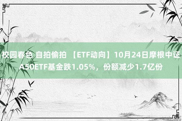 校园春色 自拍偷拍 【ETF动向】10月24日摩根中证A50ETF基金跌1.05%，份额减少1.7亿份