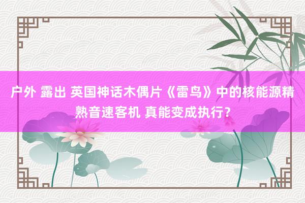 户外 露出 英国神话木偶片《雷鸟》中的核能源精熟音速客机 真能变成执行？