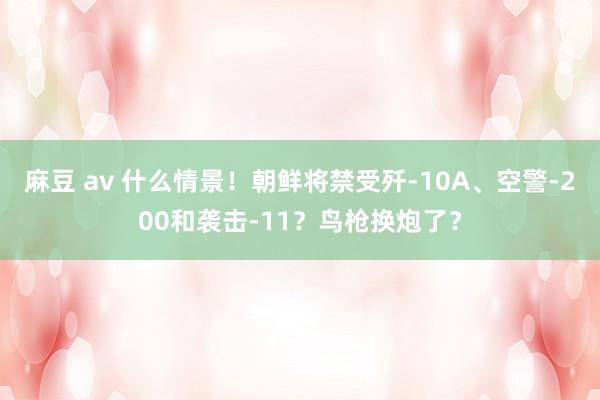 麻豆 av 什么情景！朝鲜将禁受歼-10A、空警-200和袭击-11？鸟枪换炮了？