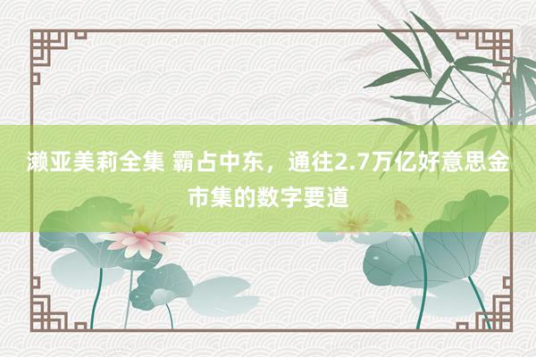 濑亚美莉全集 霸占中东，通往2.7万亿好意思金市集的数字要道