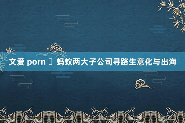 文爱 porn ​蚂蚁两大子公司寻路生意化与出海