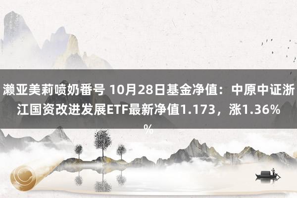 濑亚美莉喷奶番号 10月28日基金净值：中原中证浙江国资改进发展ETF最新净值1.173，涨1.36%