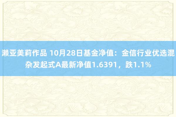 濑亚美莉作品 10月28日基金净值：金信行业优选混杂发起式A最新净值1.6391，跌1.1%