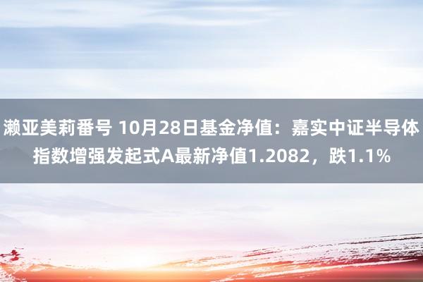 濑亚美莉番号 10月28日基金净值：嘉实中证半导体指数增强发起式A最新净值1.2082，跌1.1%