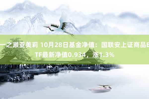 一之濑亚美莉 10月28日基金净值：国联安上证商品ETF最新净值0.934，涨1.3%