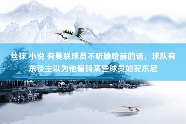 丝袜 小说 有曼联球员不听滕哈赫的话，球队有东谈主以为他偏畸某些球员如安东尼