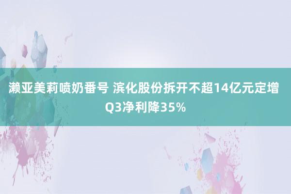 濑亚美莉喷奶番号 滨化股份拆开不超14亿元定增 Q3净利降35%