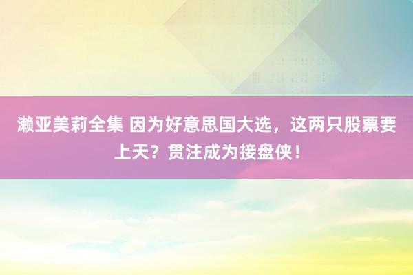 濑亚美莉全集 因为好意思国大选，这两只股票要上天？贯注成为接盘侠！