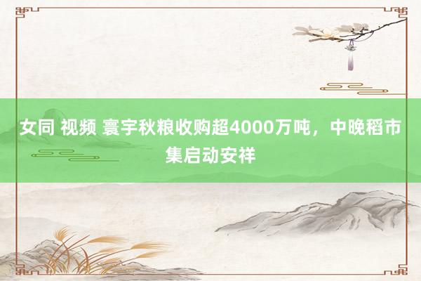 女同 视频 寰宇秋粮收购超4000万吨，中晚稻市集启动安祥