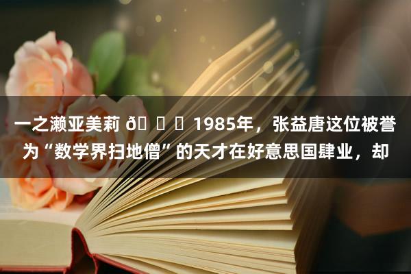 一之濑亚美莉 🌞1985年，张益唐这位被誉为“数学界扫地僧”的天才在好意思国肆业，却