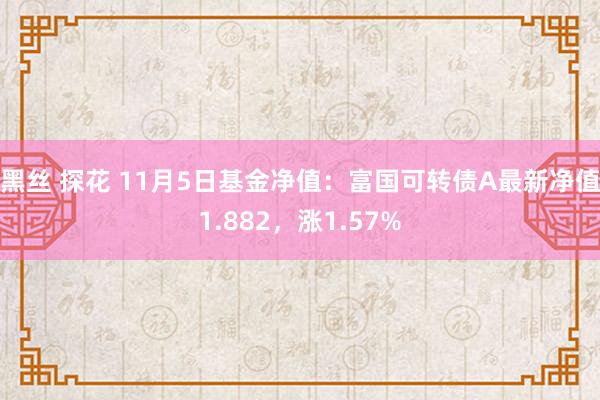 黑丝 探花 11月5日基金净值：富国可转债A最新净值1.882，涨1.57%