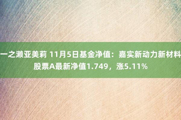 一之濑亚美莉 11月5日基金净值：嘉实新动力新材料股票A最新净值1.749，涨5.11%