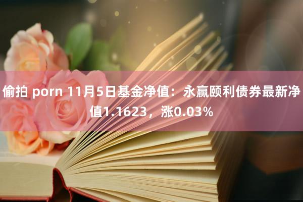 偷拍 porn 11月5日基金净值：永赢颐利债券最新净值1.1623，涨0.03%